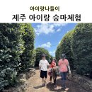 안덕면 우리가든 옆 | 제주 파더스가든, 귤따기 체험 승마체험 아이랑 가볼만한곳