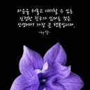 술.친구 이미지
