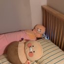 (주)하이치 네이버블로그
