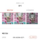 화도진로52번길 | 인천 논현동 애견미용 몽개구름 얼굴컷 후기ㅣ앞머리 짧은 알머리 도전