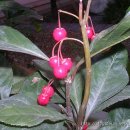 산호수농장 이미지