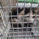 최종주동물병원 이미지