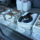 대게나라 - 목포시 미항로 191-3 | 대게나라