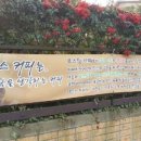 사파동358 이미지