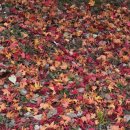 서진주슈퍼 | 11월의 소소한 일상 - 2