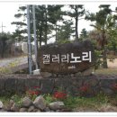 노리튼