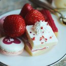 바비살롱 이미지