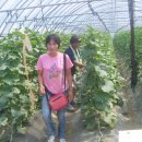 이든농장 이미지