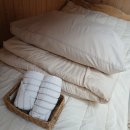 구주택 | 따뜻한 제주 게하 감성 + 재밌는 포틀럭 파티! 제주 조천읍 구주택 후기
