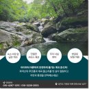 숲속이야기민박 이미지