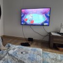 전거리불빠따참숯불구이 | 청주 캠핑, 휴양지 옥화자연휴양림 1박 2일 힐링여행 (잣나무 1호, 바베큐, 삼대장어, 대부도와인...