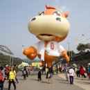 머슴한우