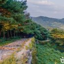 (주)중원여행사 이미지