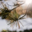 싱글벙글약국 이미지