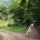 예수원 | [100대명산] 덕항산 최단코스 후기 (예수원코스, 주차, 소요시간)