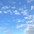 이글퀘스트 이미지