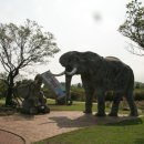 트릭아트뮤지엄 이미지