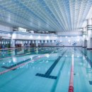 서울스포렉스 이미지