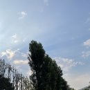 구두수선가게옆 이미지