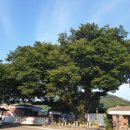 원용복마을 이미지