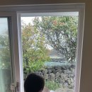 한원소담 이미지