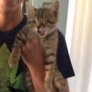 고양이PC&카페 이미지