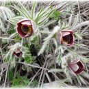 낭산다례원 이미지