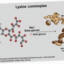작은약국 이미지