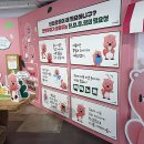 루피환경