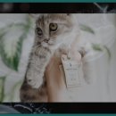 에듀팜특구관광단지(벨포레리조트) | 에듀팜특구관광단지벨포레리조트를 여행하며 느낀 잊지 못할 경험