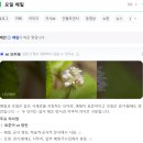 산수옥모밀집 | [광주 수완지구 맛집] 모밀국수 냉모밀 TOP1 가성비 끝판왕 수완 '산수옥 모밀집' 후기 메밀 모밀 차이