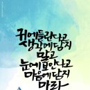 붓펜 감성 수채캘리 이미지