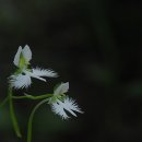 새금산요양병원 이미지