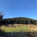 씨유제주삼봉로점 | 제주대학교 교류수학(교류학생 타대학교류) (5) - 문쏘/1100고지/수목원길야시장/새별프렌즈