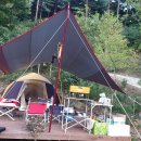 산속애견 이미지