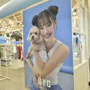 현대BYC 이미지
