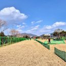 파크골프장 화장실 이미지