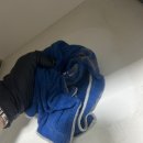 세븐일레븐 부산일광센트럴베이점 | 부산원룸청소 일광금호센트럴베이 꼼꼼청소후기