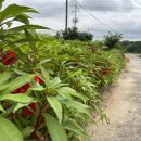 예당큰집 이미지