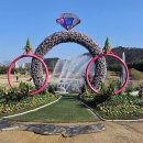 태화강국가정원 이미지