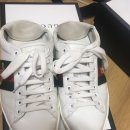 에이스 소프트 이미지