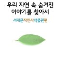 [6월 가온뮤지엄투어] 서대문자연사박물관(2탄)/6월 13일(토)(8-10세) 선착순 12명 이미지