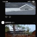 이리로광고