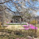 동산상회 | 함양 여행 코스 상림공원, 오도재, 함양 장날 등 7곳 경남 여행지 가볼만한곳