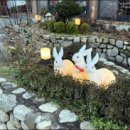 평창한우마을 면온점 이미지