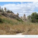 화이트밸리 이미지