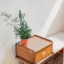 담우스테이 애월 이미지