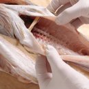 인생코다리 이미지