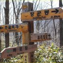 ♣4/10(일) 순천 조계산 장군봉과 선암사 홍매화와 송광사까지 그리고 명물 보리밥집 이미지