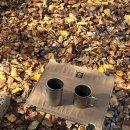 큰나무민박 | 경북 영천 보현민박오토캠핑장 리뉴얼 이용 후기